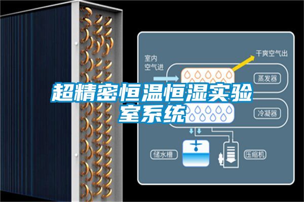 国产精品三级在线观看 超精密恒温恒湿实验室系统