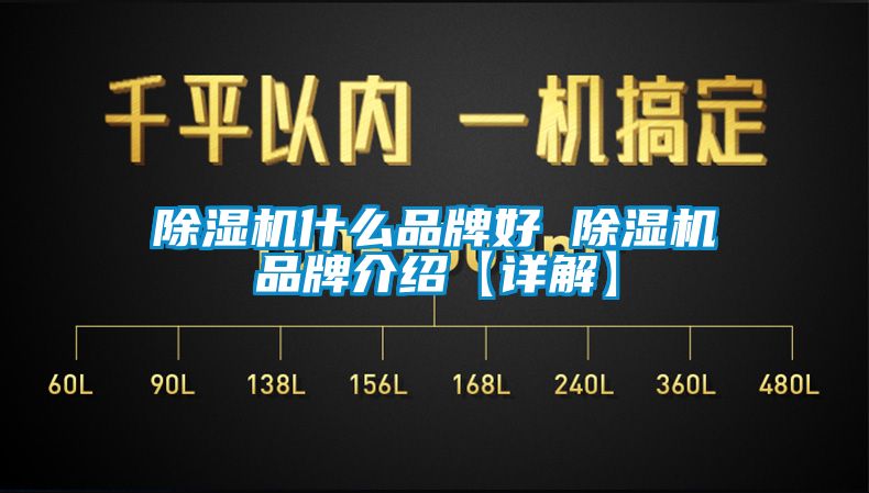国产精品欧美激情视频 除湿机什么品牌好 除湿机品牌介绍【详解】