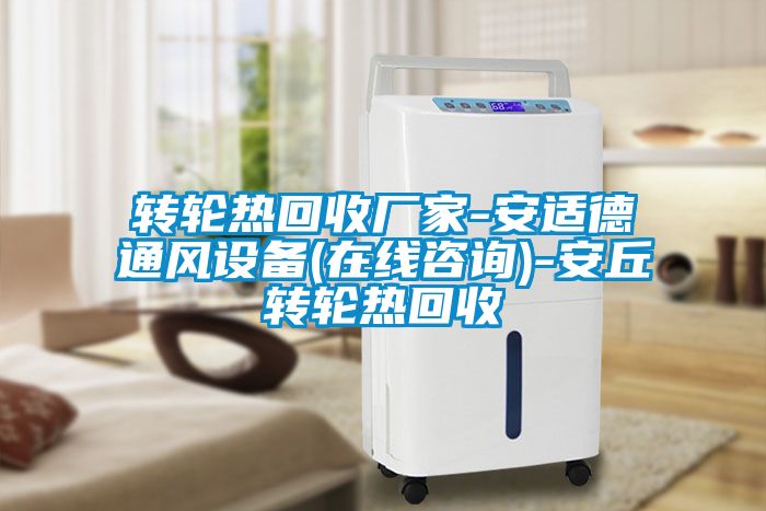 国产精品欧美激情视频 转轮热回收厂家-安适德通风设备(在线咨询)-安丘转轮热回收
