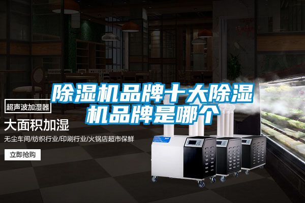 国产精品三级在线观看 除湿机品牌十大除湿机品牌是哪个