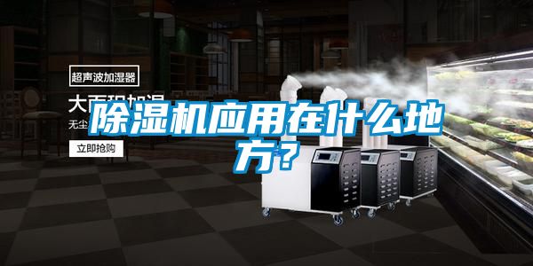 国产精品探花在线观看 除湿机应用在什么地方？