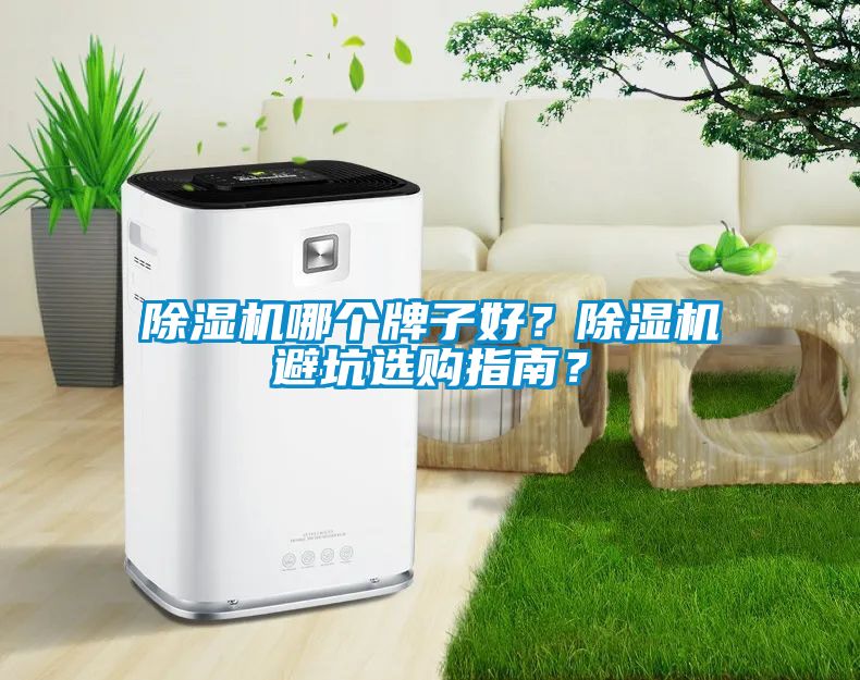 国产精品探花在线观看 除湿机哪个牌子好？除湿机避坑选购指南？