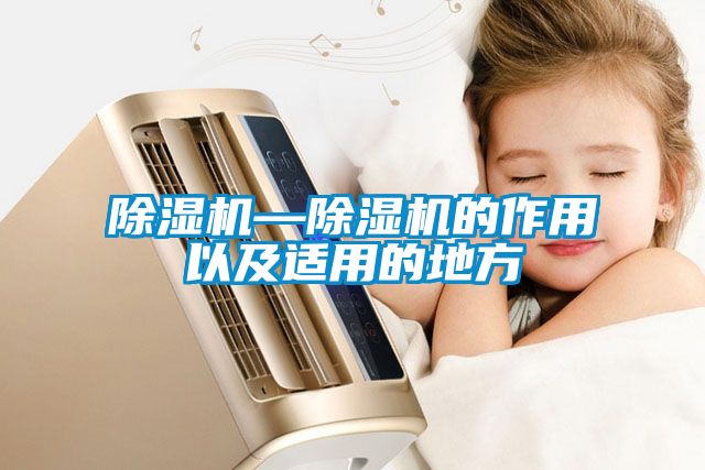 国产精品探花在线观看 除湿机—除湿机的作用以及适用的地方