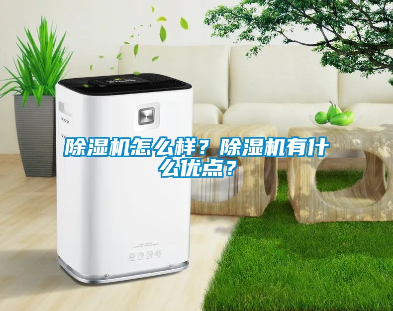 国产精品三级在线观看 除湿机怎么样？除湿机有什么优点？