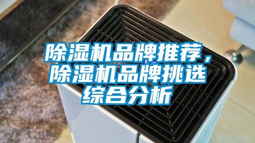 国产精品探花在线观看 除湿机品牌推荐，除湿机品牌挑选综合分析