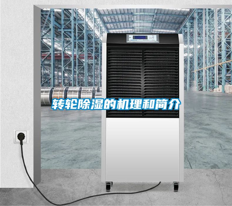 国产精品欧美激情视频 转轮除湿的机理和简介