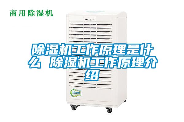 国产精品三级在线观看 除湿机工作原理是什么 除湿机工作原理介绍