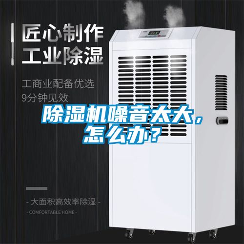 国产精品三级在线观看 除湿机噪音太大，怎么办？