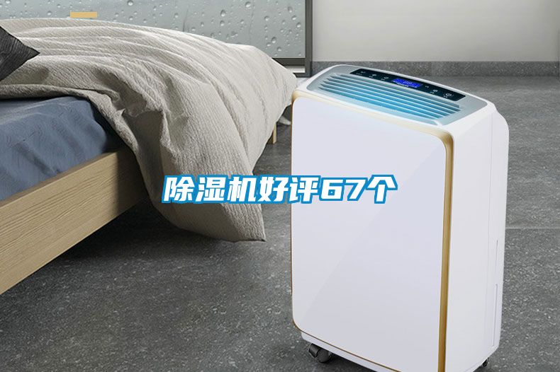 国产精品三级在线观看 除湿机好评67个