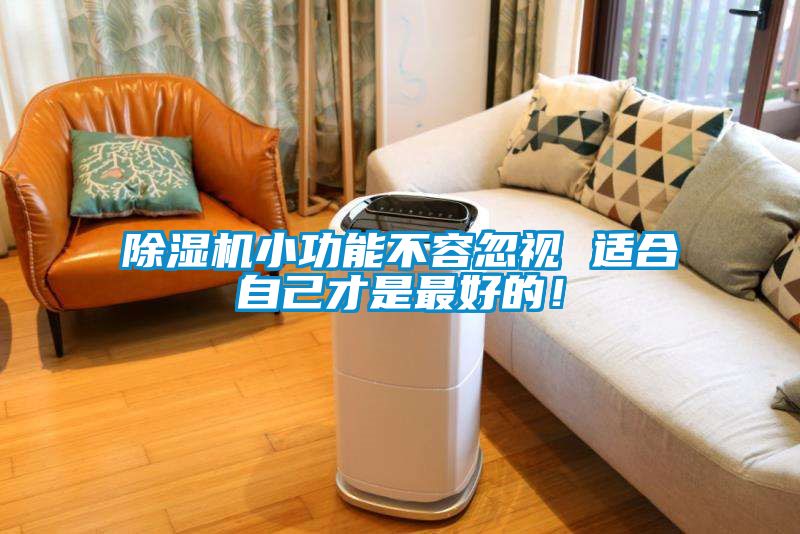 国产精品三级在线观看 除湿机小功能不容忽视 适合自己才是最好的！