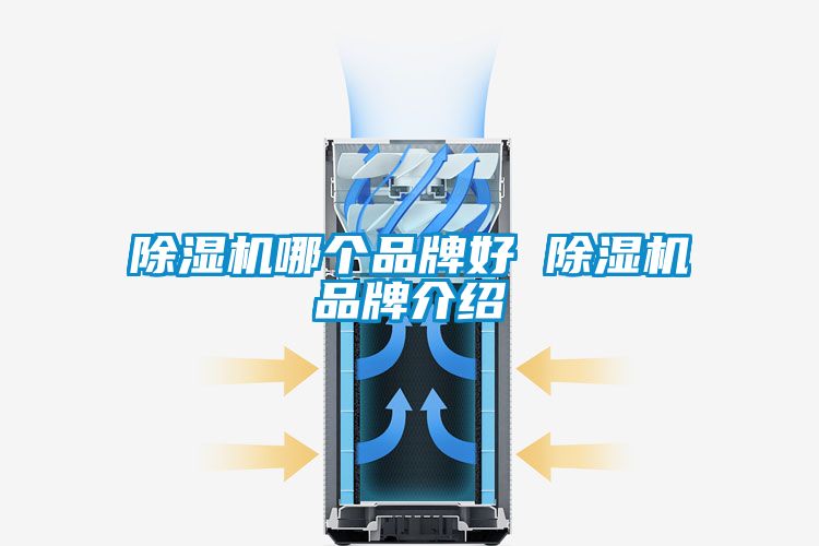 国产精品三级在线观看 除湿机哪个品牌好 除湿机品牌介绍