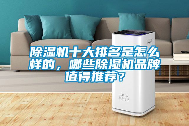 国产精品欧美激情视频 除湿机十大排名是怎么样的，哪些除湿机品牌值得推荐？