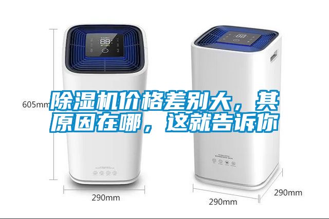 国产精品三级在线观看 除湿机价格差别大，其原因在哪，这就告诉你