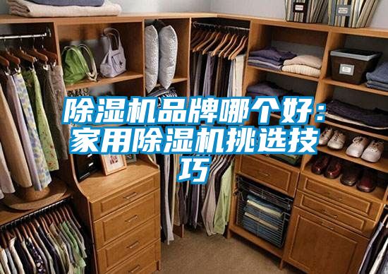 国产精品欧美激情视频 除湿机品牌哪个好：家用除湿机挑选技巧
