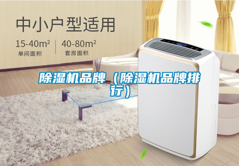 国产精品探花在线观看 除湿机品牌（除湿机品牌排行）