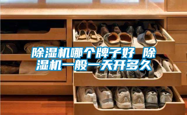 国产精品探花在线观看 除湿机哪个牌子好 除湿机一般一天开多久