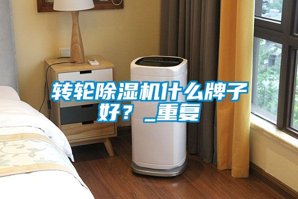 国产精品欧美激情视频 转轮除湿机什么牌子好？_重复