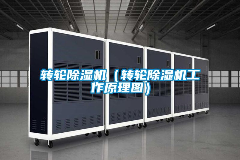 国产精品三级在线观看 转轮除湿机（转轮除湿机工作原理图）