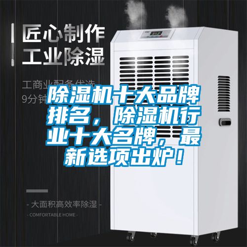 国产精品探花在线观看 除湿机十大品牌排名，除湿机行业十大名牌，最新选项出炉！