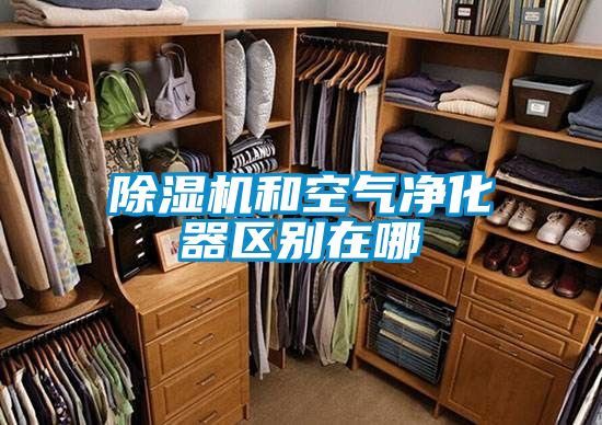 国产精品三级在线观看 除湿机和空气净化器区别在哪