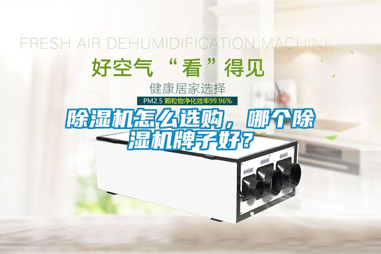 国产精品探花在线观看 除湿机怎么选购，哪个除湿机牌子好？