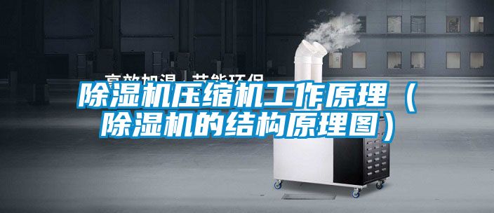 国产精品欧美激情视频 除湿机压缩机工作原理（除湿机的结构原理图）