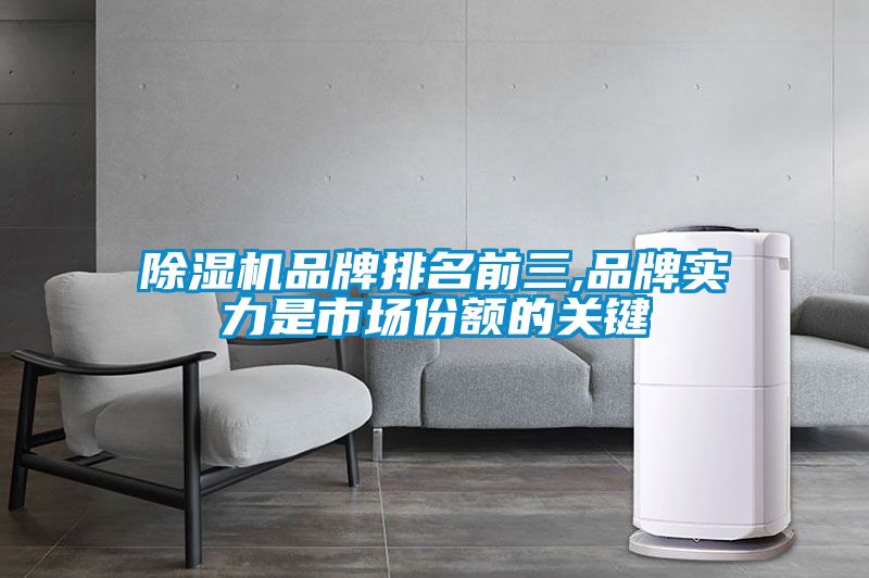 国产精品三级在线观看 除湿机品牌排名前三,品牌实力是市场份额的关键