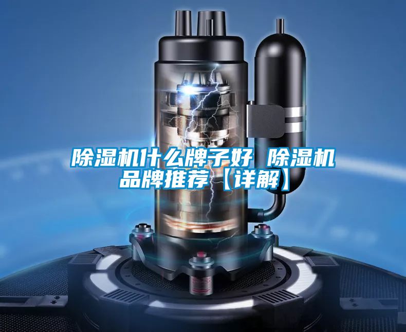 国产精品三级在线观看 除湿机什么牌子好 除湿机品牌推荐【详解】