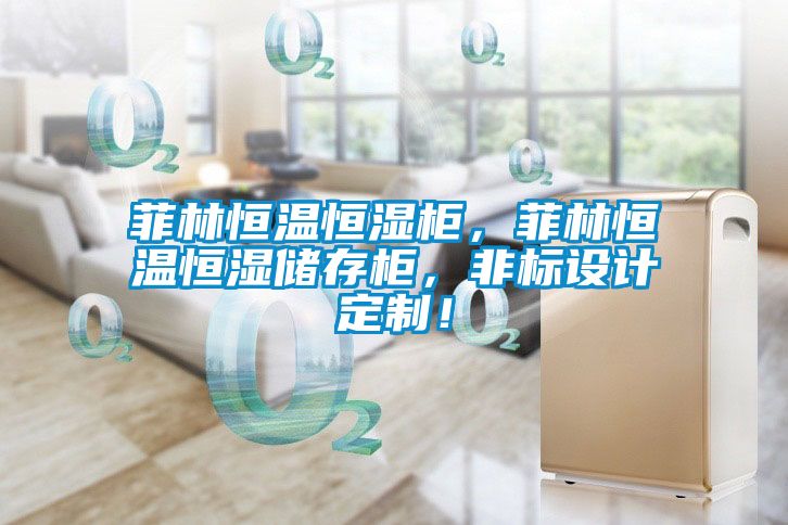 国产精品欧美激情视频 菲林恒温恒湿柜，菲林恒温恒湿储存柜，非标设计定制！