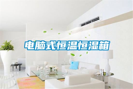 国产精品欧美激情视频 电脑式恒温恒湿箱