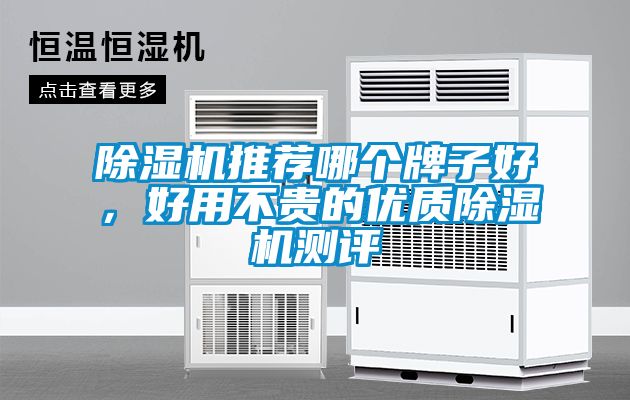 国产精品欧美激情视频 除湿机推荐哪个牌子好，好用不贵的优质除湿机测评