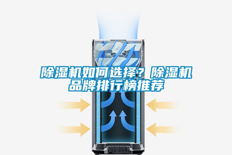 国产精品欧美激情视频 除湿机如何选择？除湿机品牌排行榜推荐