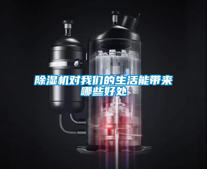 国产精品欧美激情视频 除湿机对我们的生活能带来哪些好处
