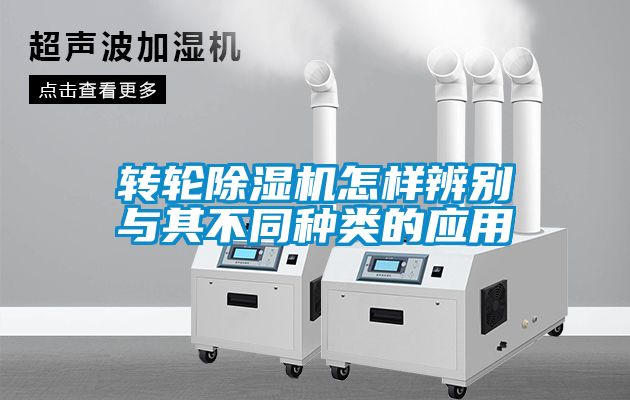 国产精品欧美激情视频 转轮除湿机怎样辨别与其不同种类的应用