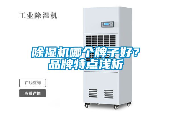 国产精品探花在线观看 除湿机哪个牌子好？品牌特点浅析