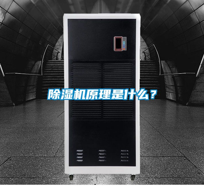 国产精品三级在线观看 除湿机原理是什么？