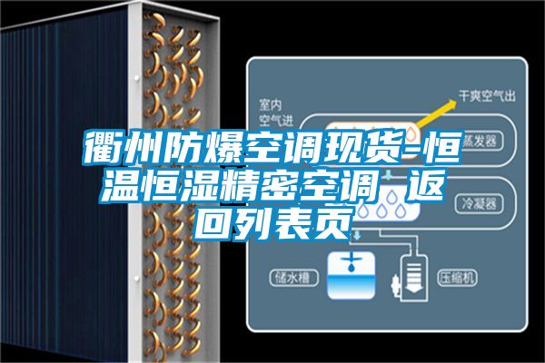 国产精品三级在线观看 衢州防爆空调现货-恒温恒湿精密空调 返回列表页