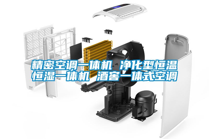 国产精品欧美激情视频 精密空调一体机 净化型恒温恒湿一体机 酒窖一体式空调