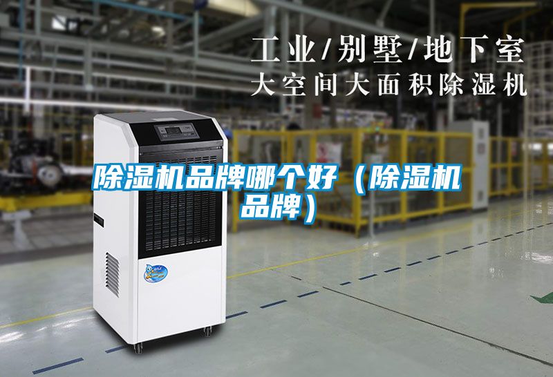 国产精品探花在线观看 除湿机品牌哪个好（除湿机品牌）