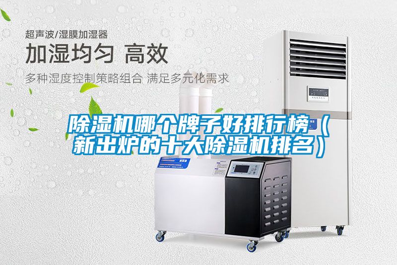 国产精品欧美激情视频 除湿机哪个牌子好排行榜（新出炉的十大除湿机排名）