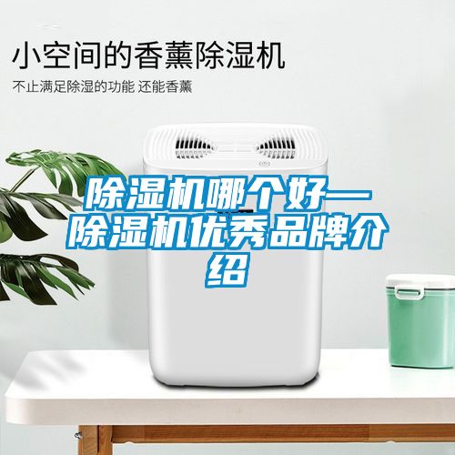 国产精品探花在线观看 除湿机哪个好—除湿机优秀品牌介绍