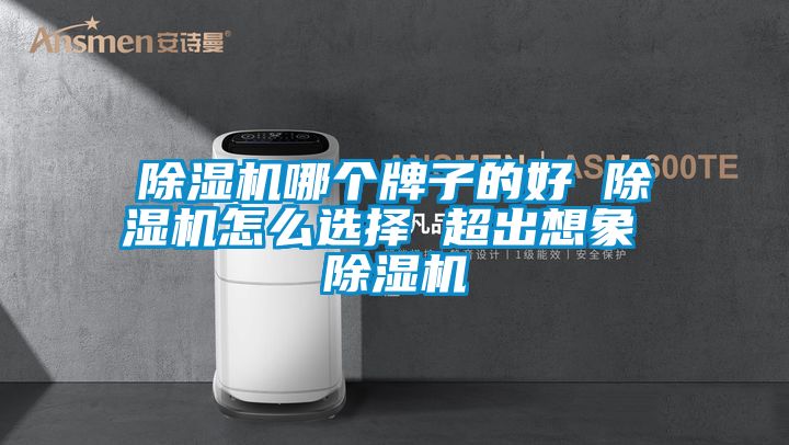 国产精品欧美激情视频 除湿机哪个牌子的好 除湿机怎么选择 超出想象 除湿机