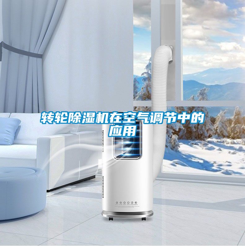 国产精品欧美激情视频 转轮除湿机在空气调节中的应用