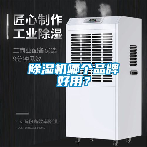 国产精品探花在线观看 除湿机哪个品牌好用？