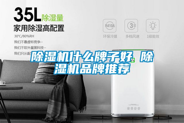 国产精品三级在线观看 除湿机什么牌子好 除湿机品牌推荐