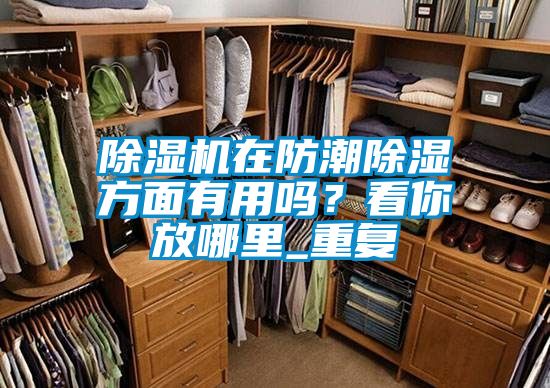 国产精品探花在线观看 除湿机在防潮除湿方面有用吗？看你放哪里_重复