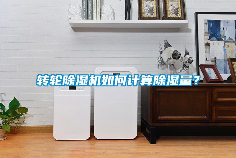 国产精品三级在线观看 转轮除湿机如何计算除湿量？