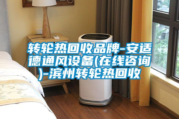 国产精品三级在线观看 转轮热回收品牌-安适德通风设备(在线咨询)-滨州转轮热回收