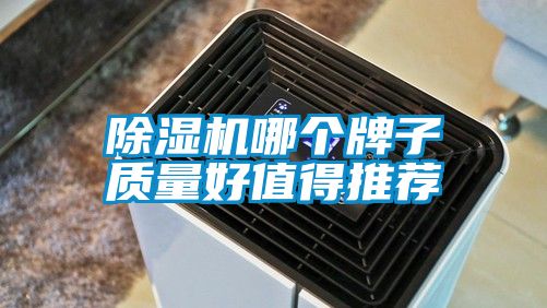 国产精品欧美激情视频 除湿机哪个牌子质量好值得推荐