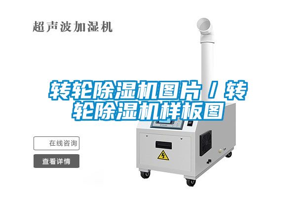 国产精品三级在线观看 转轮除湿机图片／转轮除湿机样板图